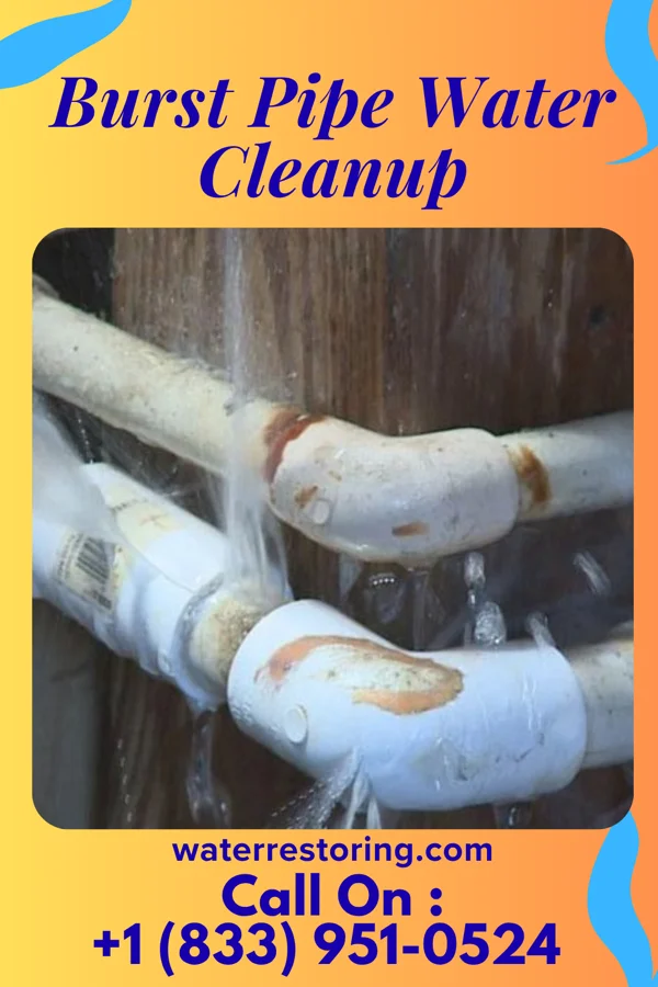 Burst Pipe Water Cleanup in Port Vue, PA