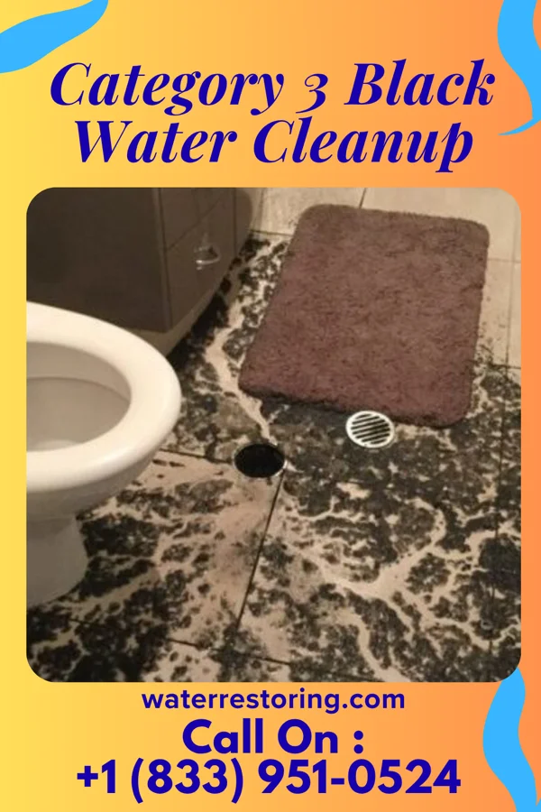 Category 3 Black Water Cleanup in Port Vue, PA