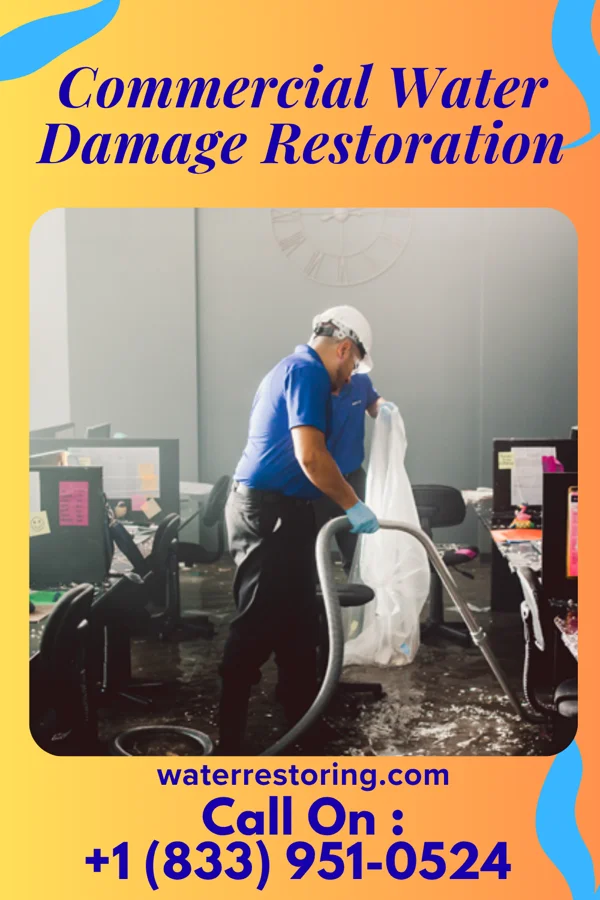 Commercial Water Damage Restoration in Port Vue, PA