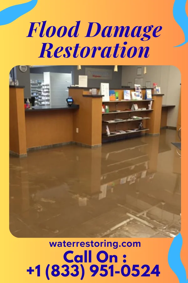 Flood Damage Restoration in Port Vue, PA