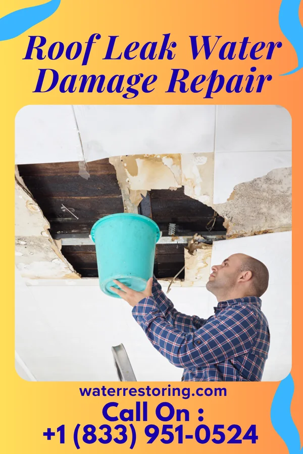 Roof Leak Water Damage Repair in Port Vue, PA
