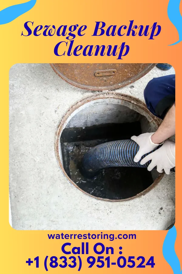 Sewage Backup Cleanup in Port Vue, PA
