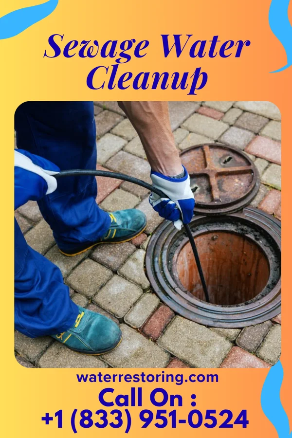 Sewage Water Cleanup in Port Vue, PA