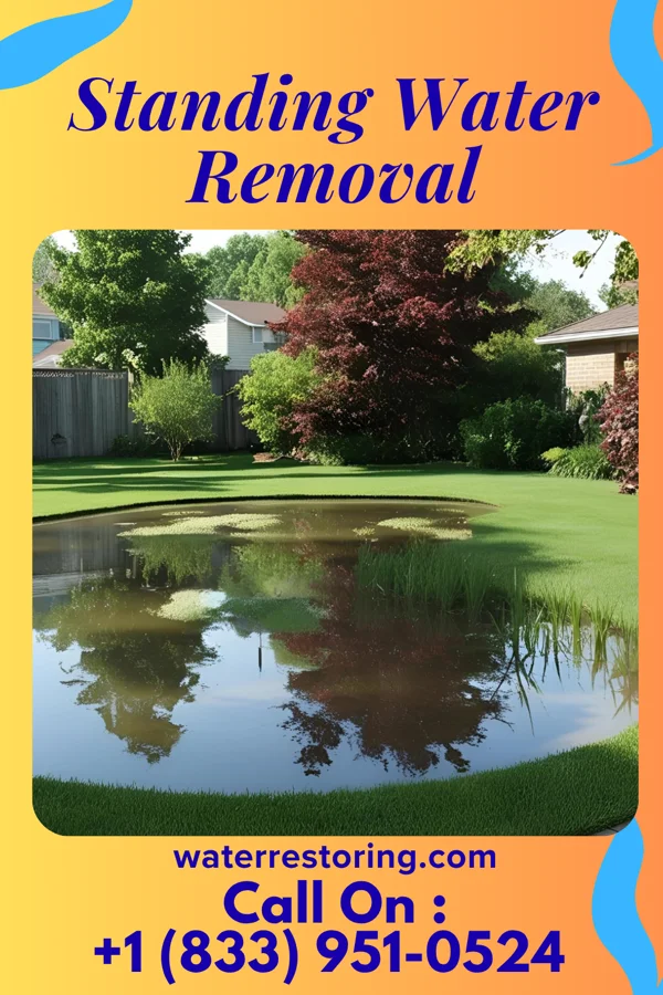 Standing Water Removal in Port Vue, PA